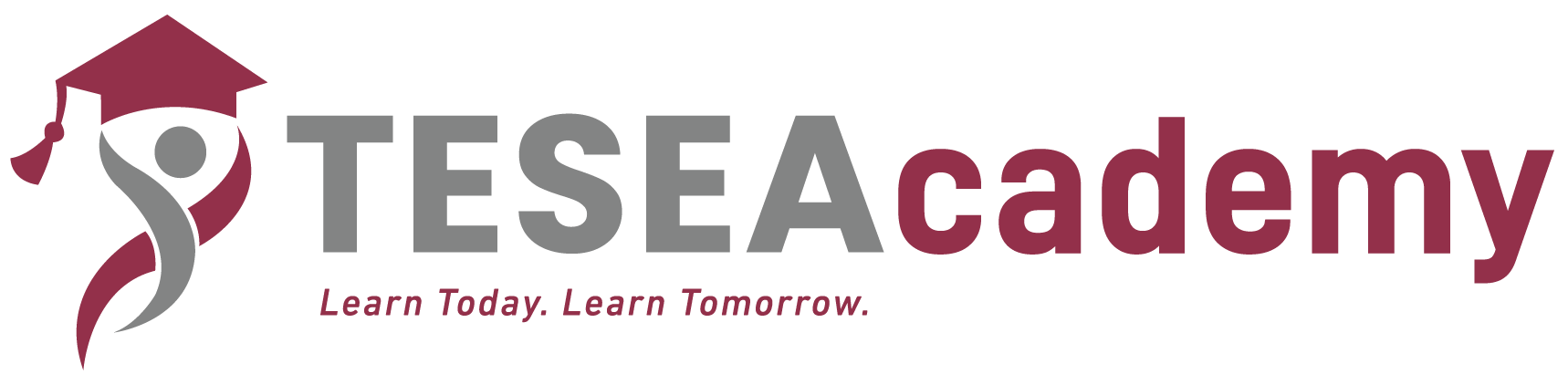 TESEA Academy Limited